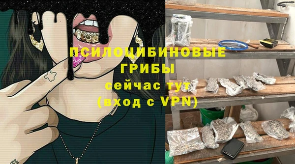 молекула духа Киренск