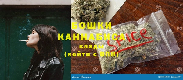 молекула духа Киренск