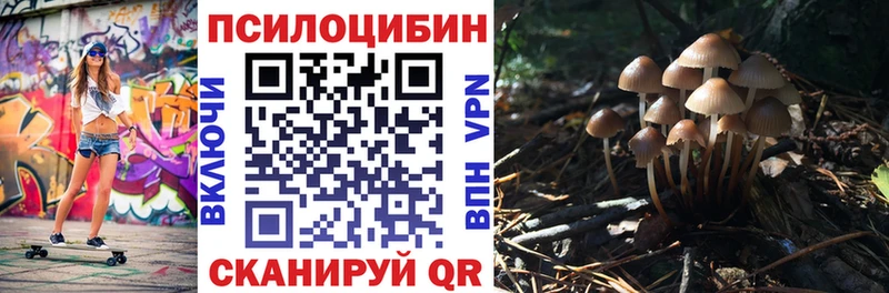Псилоцибиновые грибы GOLDEN TEACHER  Купить где  Верхняя Тура 